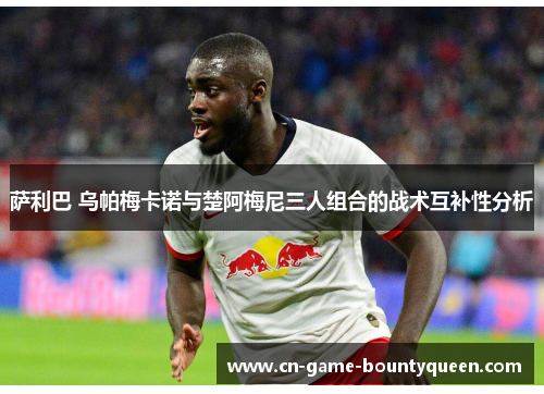 萨利巴 乌帕梅卡诺与楚阿梅尼三人组合的战术互补性分析