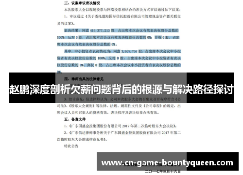 赵鹏深度剖析欠薪问题背后的根源与解决路径探讨