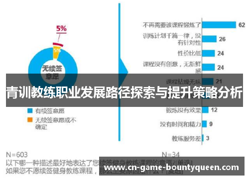 青训教练职业发展路径探索与提升策略分析